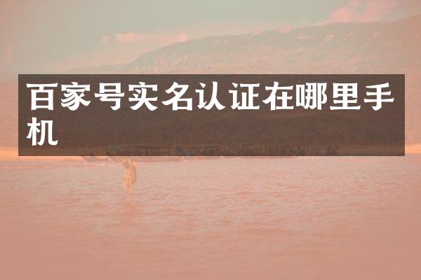 百家号实名认证在哪里手机