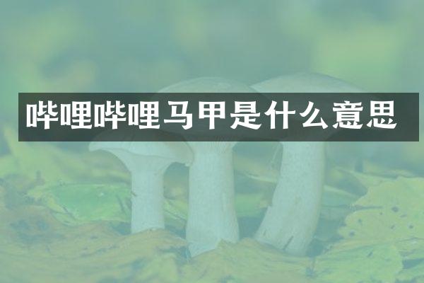 哔哩哔哩马甲是什么意思