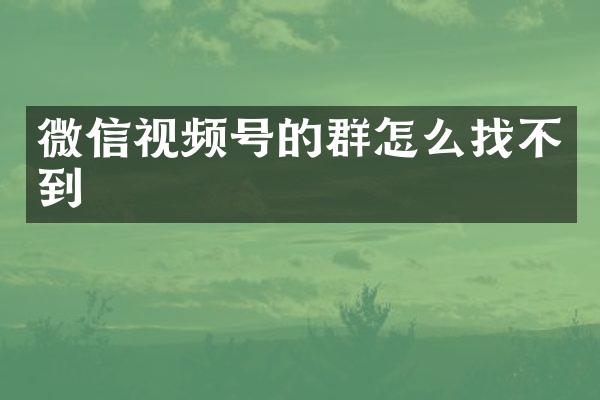 微信视频号的群怎么找不到