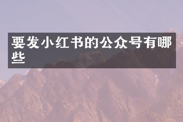 要发小红书的公众号有哪些