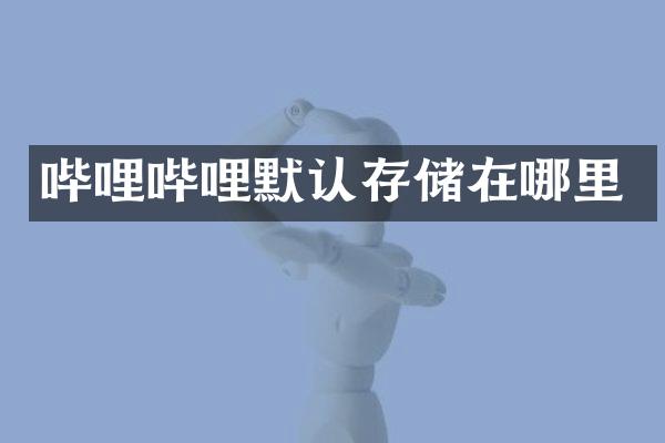 哔哩哔哩默认存储在哪里