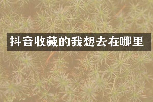抖音收藏的我想去在哪里