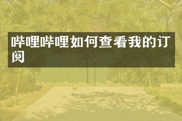 哔哩哔哩如何查看我的订阅