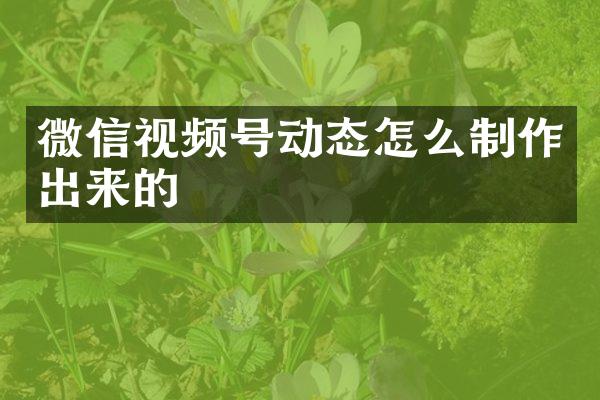微信视频号动态怎么制作出来的
