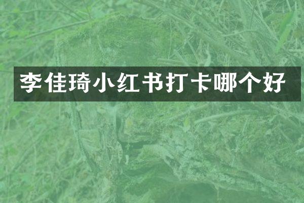 李佳琦小红书打卡哪个好