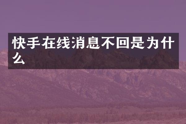 快手在线消息不回是为什么