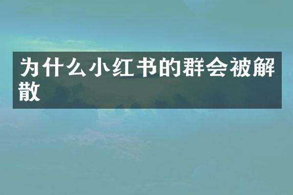 为什么小红书的群会被解散