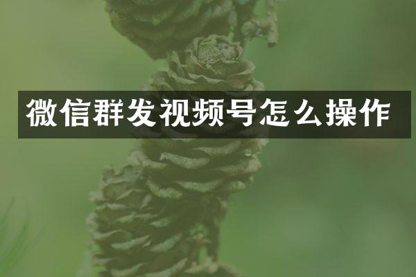 微信视频号怎么操作