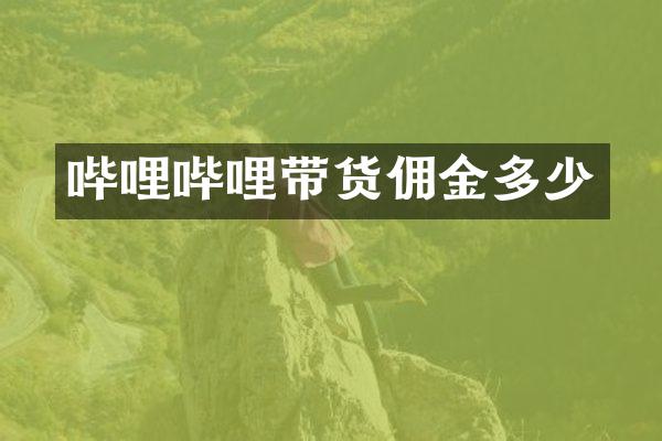 哔哩哔哩带货佣金多少