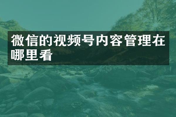 微信的视频号内容管理在哪里看