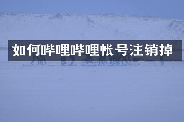 如何哔哩哔哩帐号注销掉