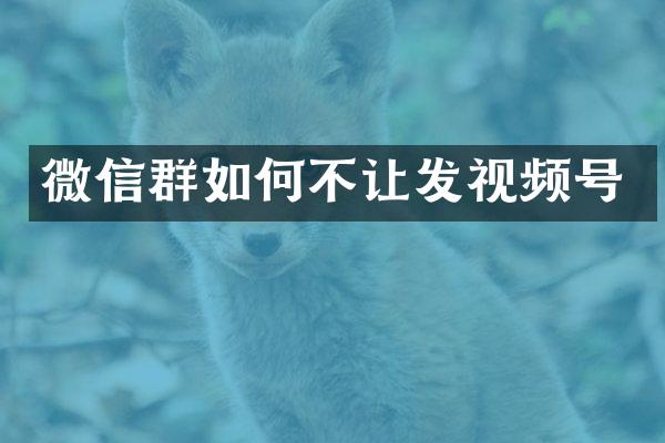 微信群如何不让发视频号