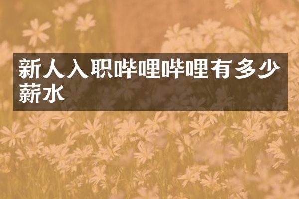 新人入职哔哩哔哩有多少薪水