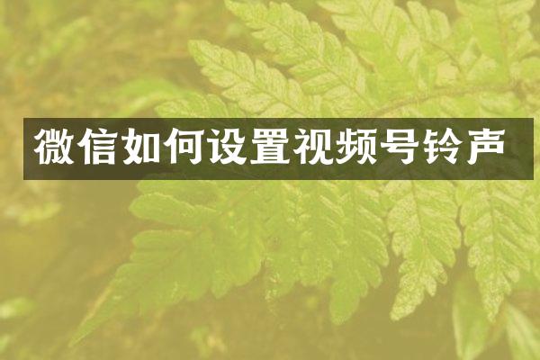 微信如何设置视频号铃声