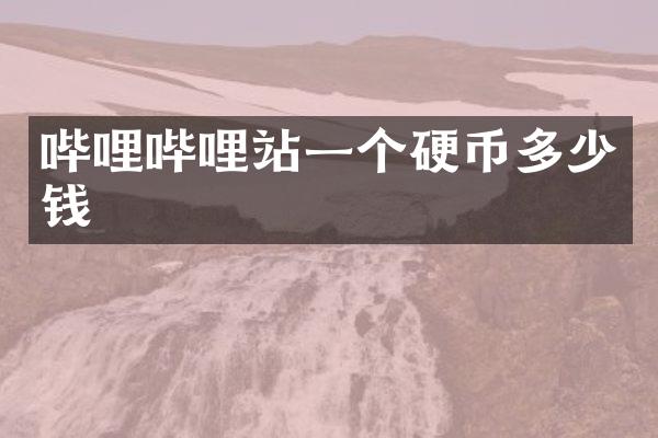哔哩哔哩站一个硬币多少钱
