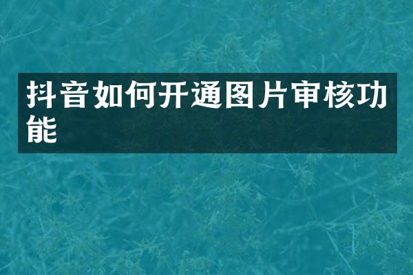 抖音如何开通图片审核功能