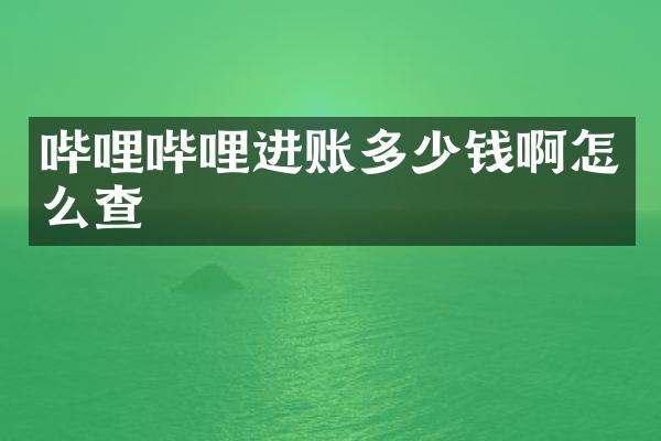 哔哩哔哩进账多少钱啊怎么查
