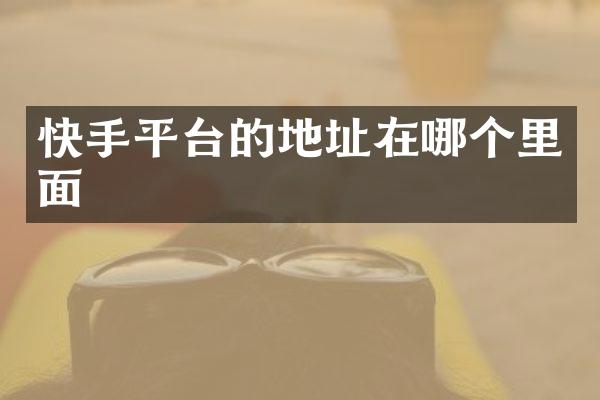 快手平台的地址在哪个里面