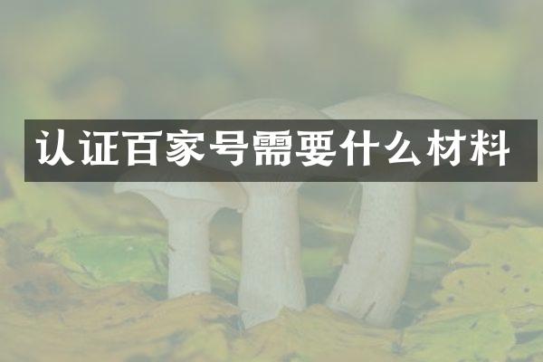 认证百家号需要什么材料