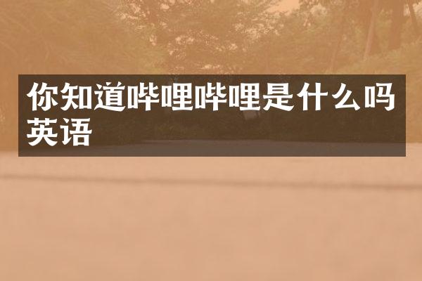 你知道哔哩哔哩是什么吗英语