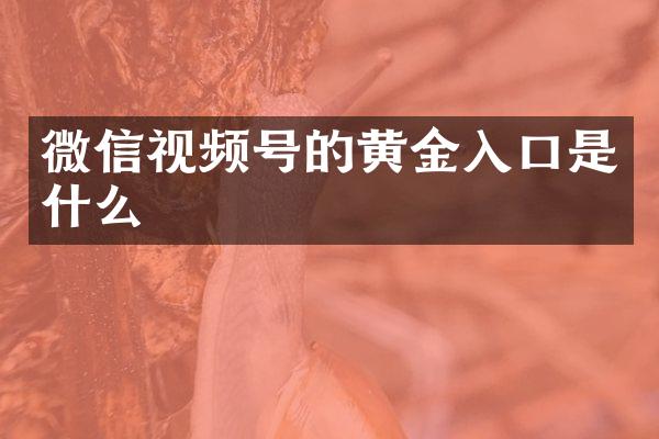 微信视频号的黄金入口是什么