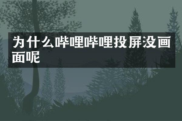 为什么哔哩哔哩投屏没画面呢