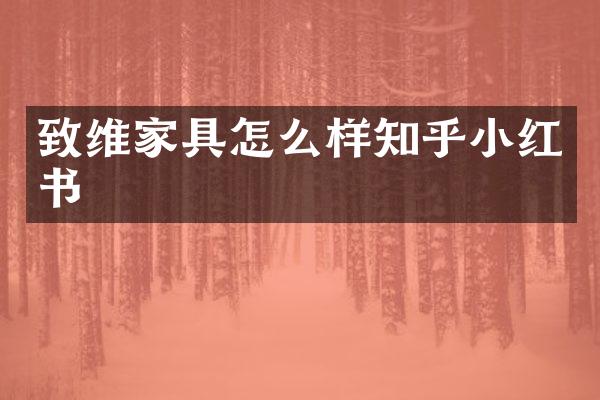 致维家具怎么样知乎小红书