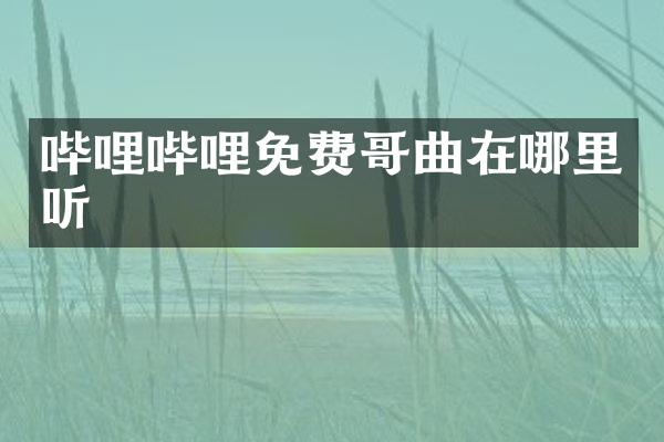 哔哩哔哩免费哥曲在哪里听