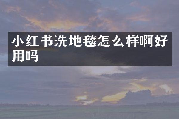 小红书洗地毯怎么样啊好用吗