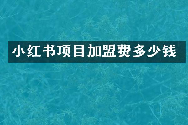 小红书项目加盟费多少钱