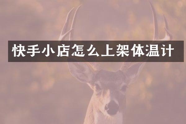 快手小店怎么上架体温计