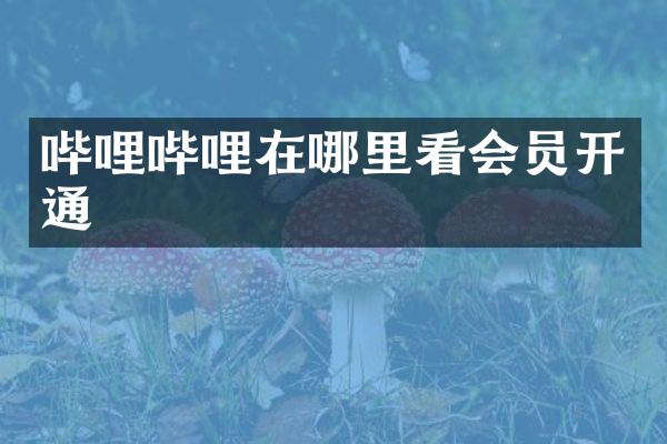 哔哩哔哩在哪里看会员开通