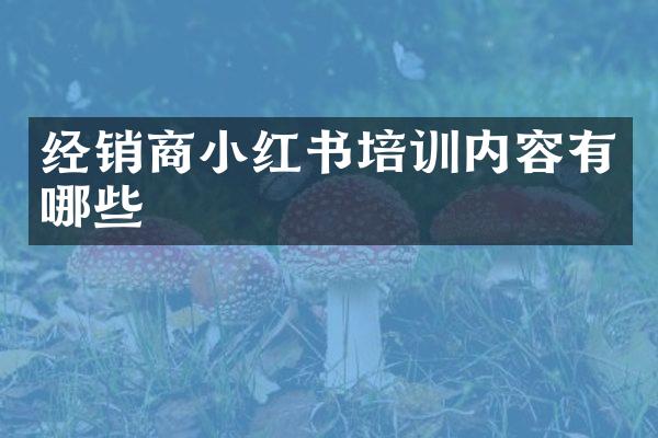 经销商小红书培训内容有哪些