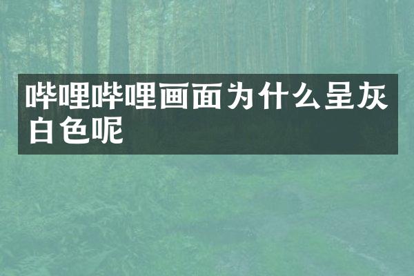 哔哩哔哩画面为什么呈灰白色呢