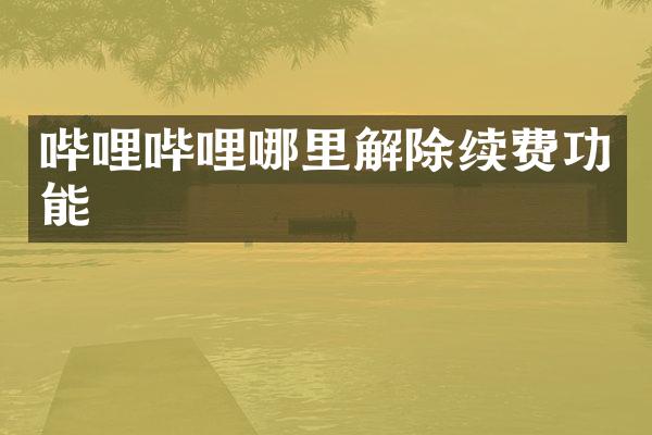 哔哩哔哩哪里解除续费功能
