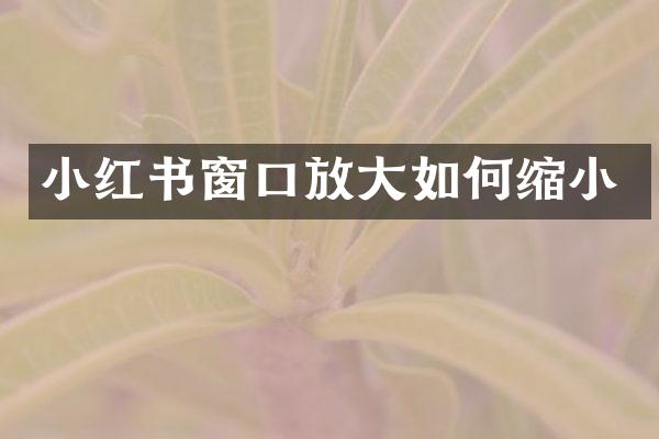 小红书窗口放大如何缩小