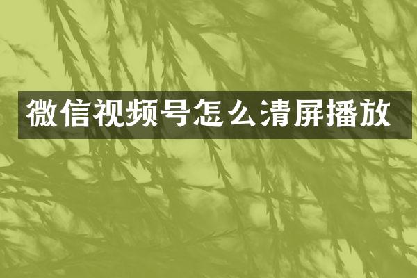 微信视频号怎么清屏播放