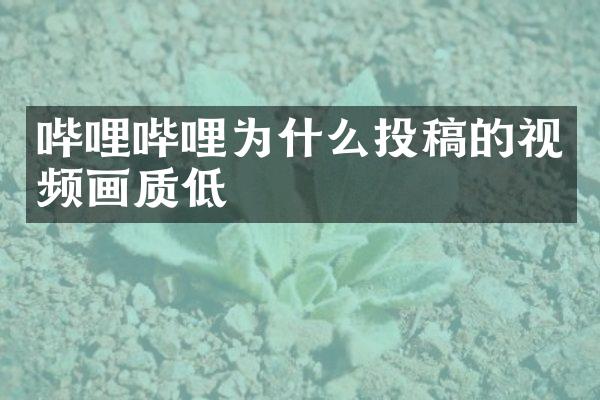 哔哩哔哩为什么投稿的视频画质低