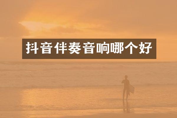 抖音伴奏音响哪个好