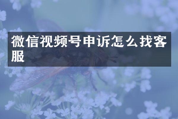 微信视频号申诉怎么找客服