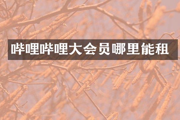 哔哩哔哩大会员哪里能租