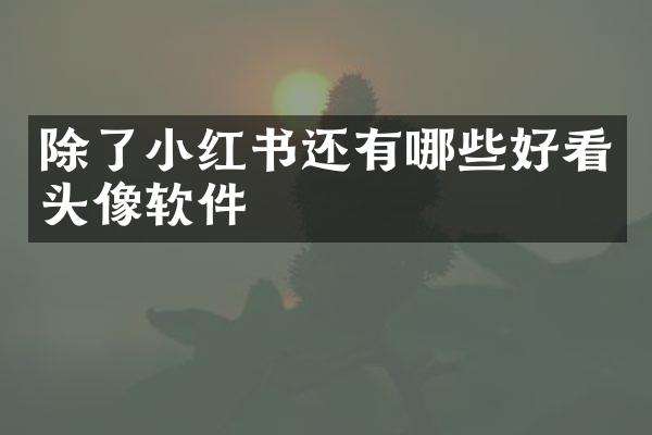 除了小红书还有哪些好看头像软件