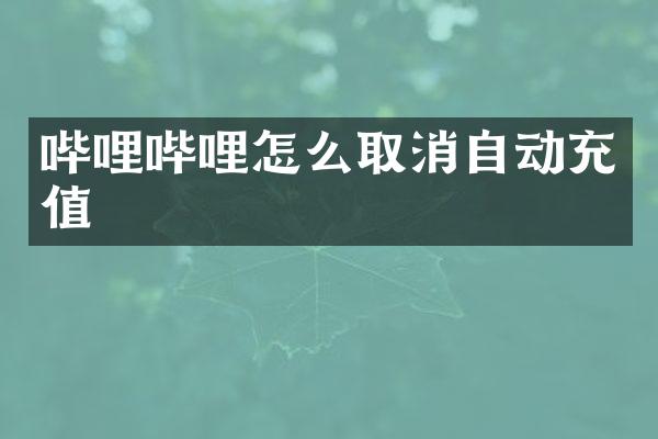 哔哩哔哩怎么取消自动充值