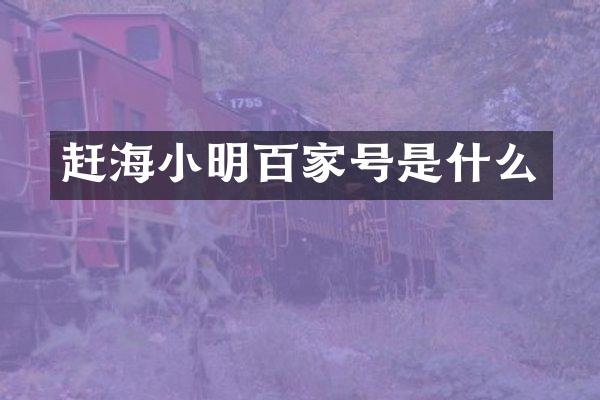 赶海小明百家号是什么