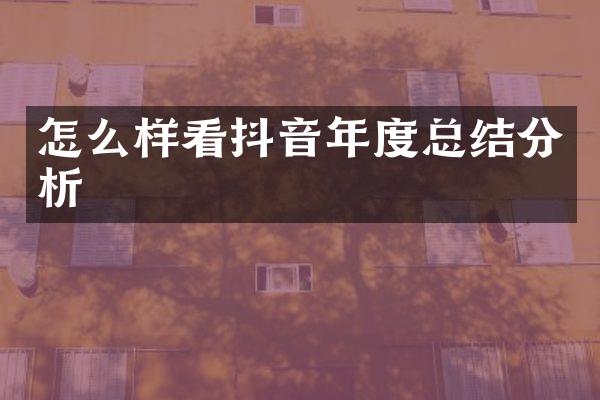 怎么样看抖音年度总结分析
