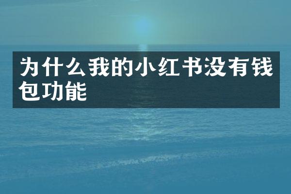 为什么我的小红书没有钱包功能