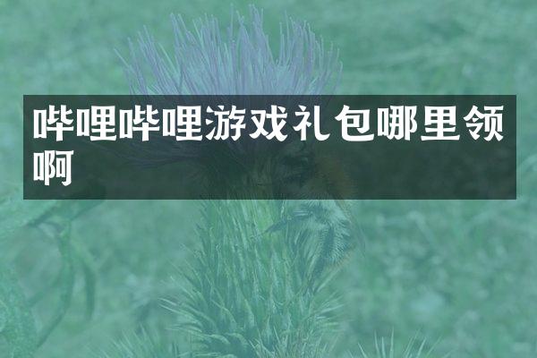 哔哩哔哩游戏礼包哪里领啊