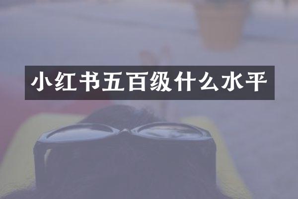 小红书五百级什么水平