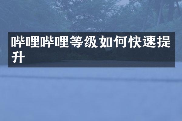 哔哩哔哩等级如何快速提升