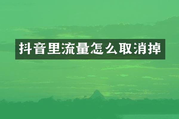 抖音里流量怎么取消掉